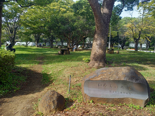 公園の様子