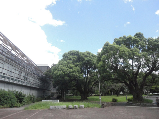 図書館前